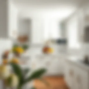 Immaculate Kitchen Design A beautifully arranged kitchen showcasing cleanliness