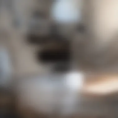Professional Carpet Cleaning Service Professional carpet cleaning in action