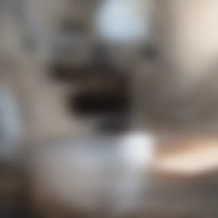 Professional Carpet Cleaning Service Professional carpet cleaning in action