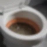 Close-up of a toilet bowl with visible clogs