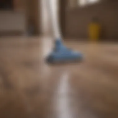 Essential Cleaning Supplies Cleaning supplies for laminate floors