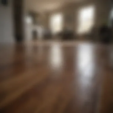 DIY Maintenance Techniques DIY laminate floor maintenance techniques