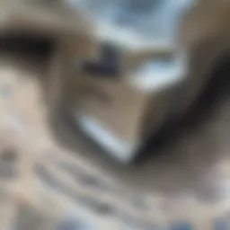 Graph illustrating the correlation between location and condo rent prices