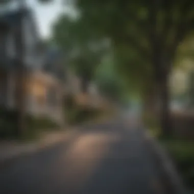 Charming neighborhood street lined with trees in Arlington