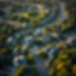 Aerial view of a suburban neighborhood with lush greenery and modern homes