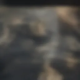 A glossy laminate floor reflecting light