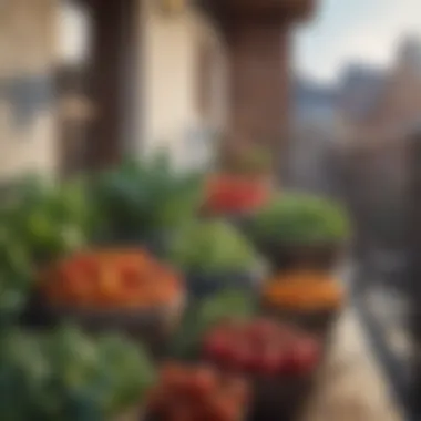 Colorful assortment of vegetables in pots on a balcony