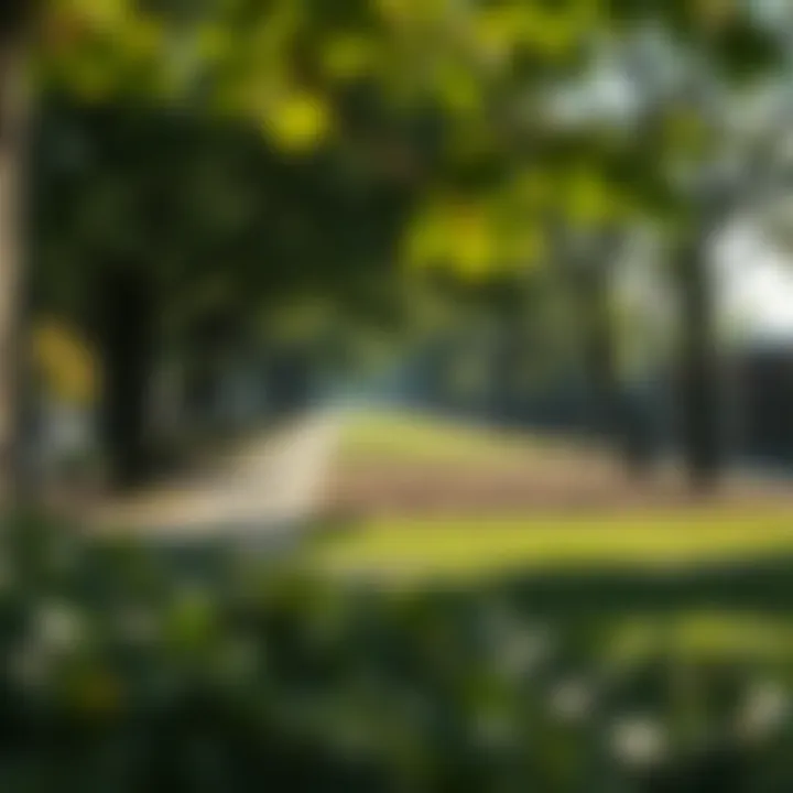 Recreational Spaces in Bronzeville Overview of Bronzeville park amenities and recreational areas