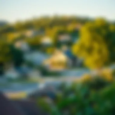 A serene neighborhood illustrating the appeal of cash purchases in real estate