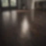 Pristine dark laminate floor reflecting light