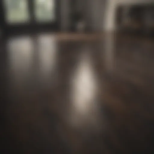 Pristine dark laminate floor reflecting light
