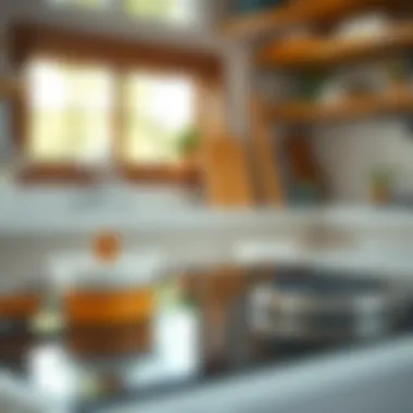 Essential Cleaning Tools Essential cleaning tools for glass top stoves