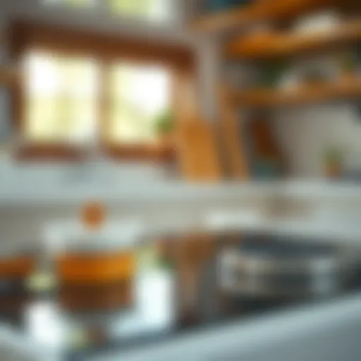 Essential Cleaning Tools Essential cleaning tools for glass top stoves