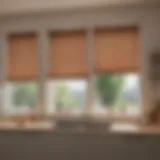 Variety of kitchen blinds