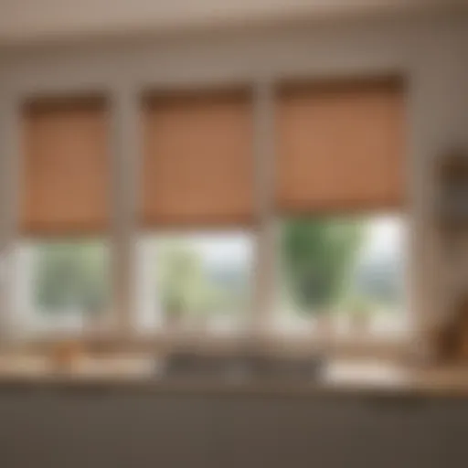Variety of kitchen blinds