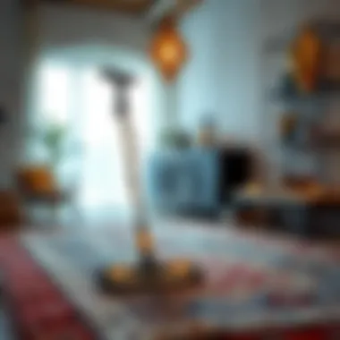 Effective cleaning tools for long pile rugs