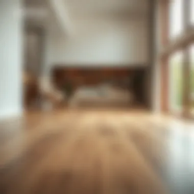 Transformation of Soft Wood Floors Before and after soft wood floor cleaning