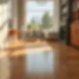 Elegant soft wood floor reflecting light