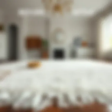 Before and after comparison of a stained and cleaned white rug.