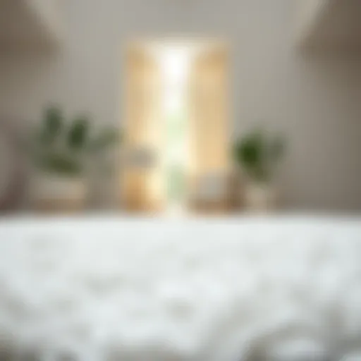 A pristine white rug showcasing its texture and detailing.