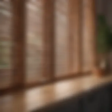Proper technique for dusting wooden blinds