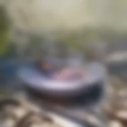 Spotless glass cooktop after cleaning