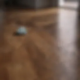 Before and after transformation of wood floors