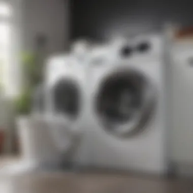 Transforming Your Washing Machine: Before and After Before and after comparison of a clean washing machine drum