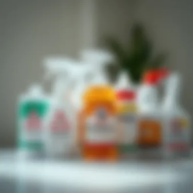 Safety in Disinfection Disinfectants lined up with safety labels visible