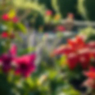 Well-maintained garden with vibrant plants