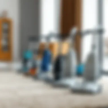 Variety of Carpet Cleaners Selection of carpet cleaners displayed for comparison