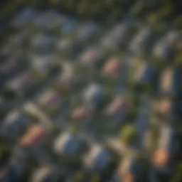 Aerial view of residential properties showcasing for sale and for rent signs