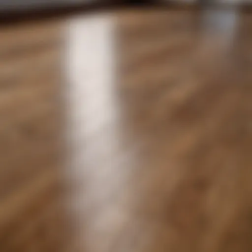 Spotless wooden floor showcasing natural grain