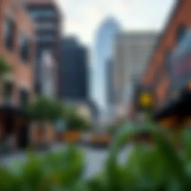 Cultural Hub of Dallas Vibrant arts district in Dallas highlighting cultural richness and community engagement.