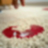 Close-up view of a carpet stain