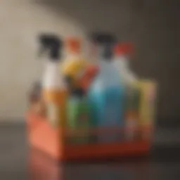 An organized cleaning caddy filled with supplies for deep cleaning an apartment
