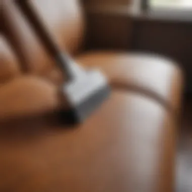 Essential Cleaning Tools for Upholstery Maintenance Essential cleaning tools for upholstery maintenance
