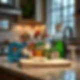 Efficient cleaning supplies array on a countertop