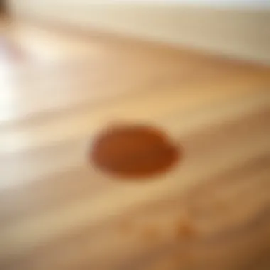 Close-up of laminate flooring with a visible stain