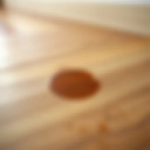Close-up of laminate flooring with a visible stain