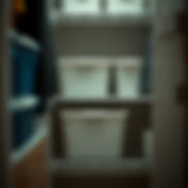 Smart storage bins neatly arranged in a closet