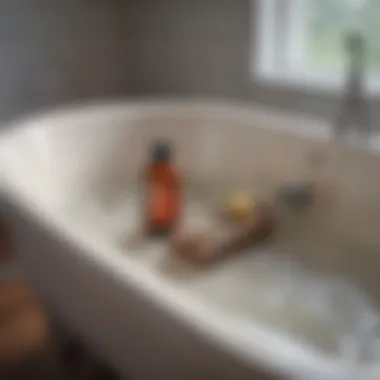 Household Remedies for Bathtub Clogs Natural ingredients for unclogging a bathtub
