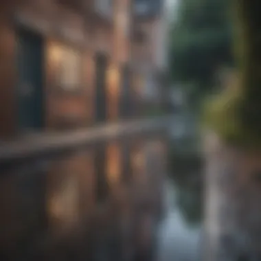 Professional assessing a drainage system