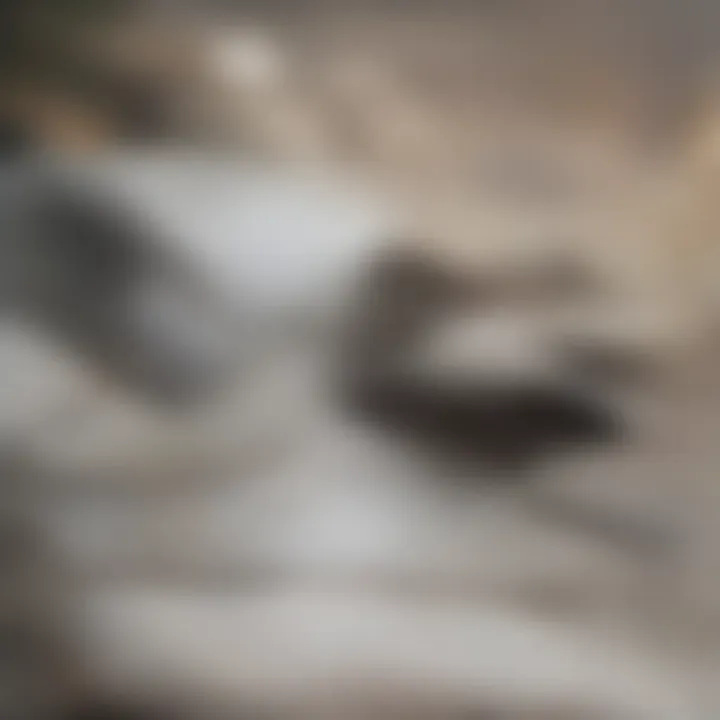 A close-up of a stain on a couch cushion being treated