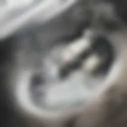 Clogged bathtub drain with debris