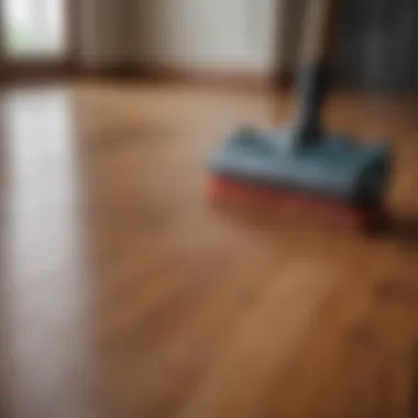 Specialized cleaning tools arranged for wood maintenance