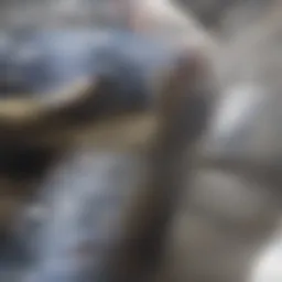 Engaging property manager discussion