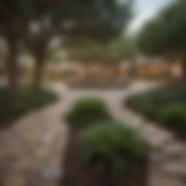 Community Park: A Heart of San Antonio Living Community park in a San Antonio district