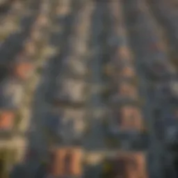 Aerial view of Venice Beach showcasing rental properties