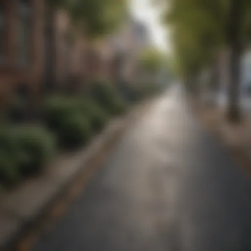 Charming street view of an affordable neighborhood in Washington, D.C.